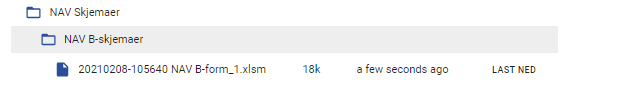 NavSkjemaFiler.PNG